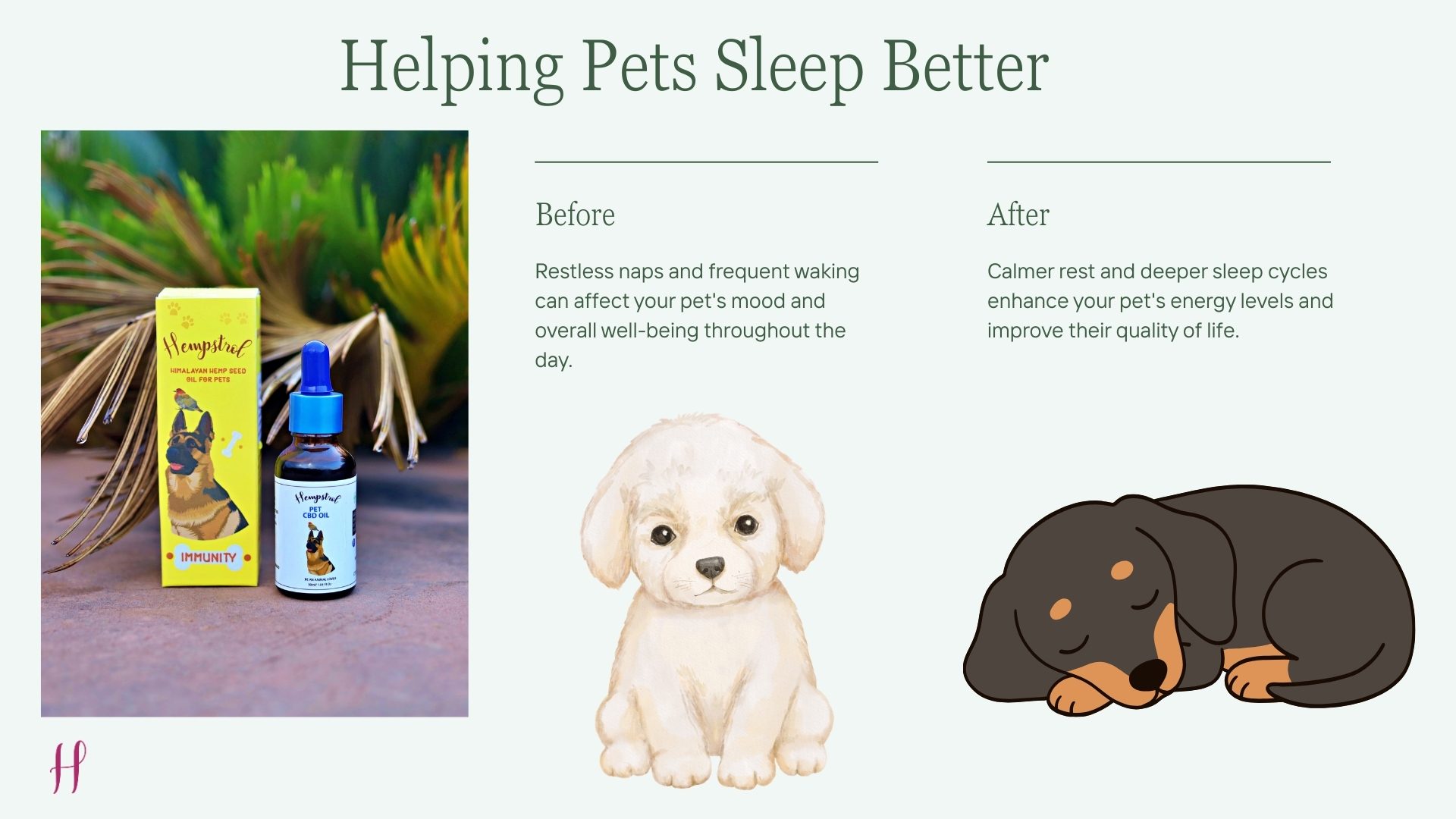 Helping Pets Manage Stress slide listing calming, reducing, balance, quality and support benefits of CBD for anxious pets.